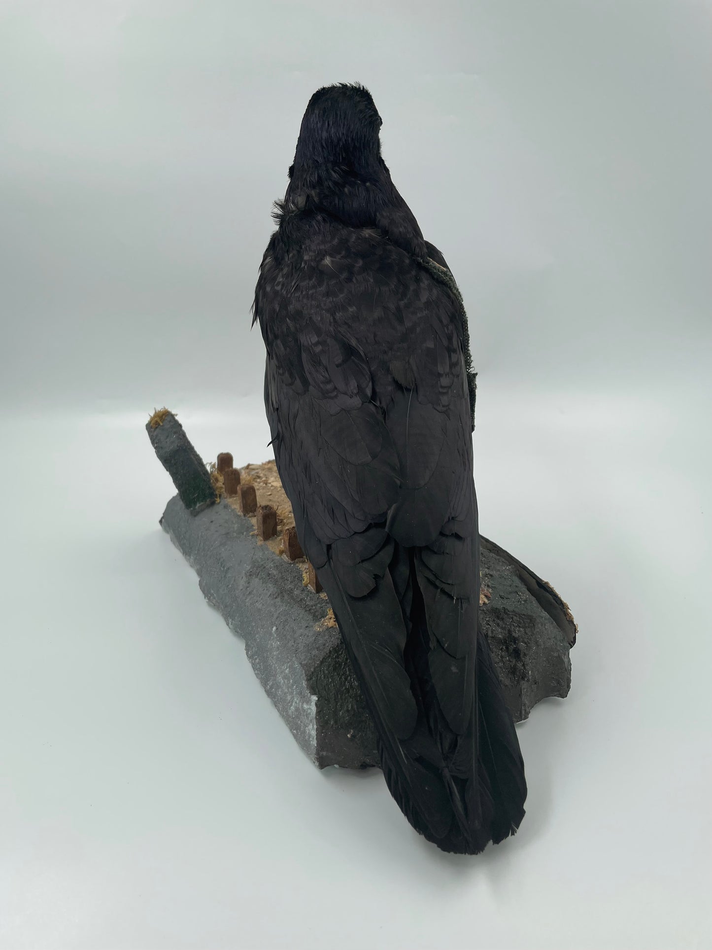 Rook