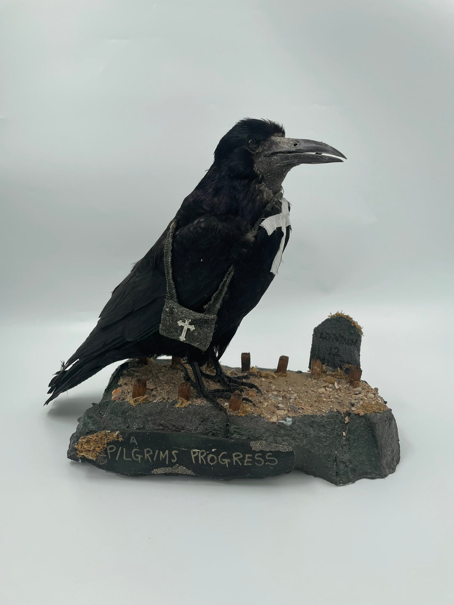 Rook