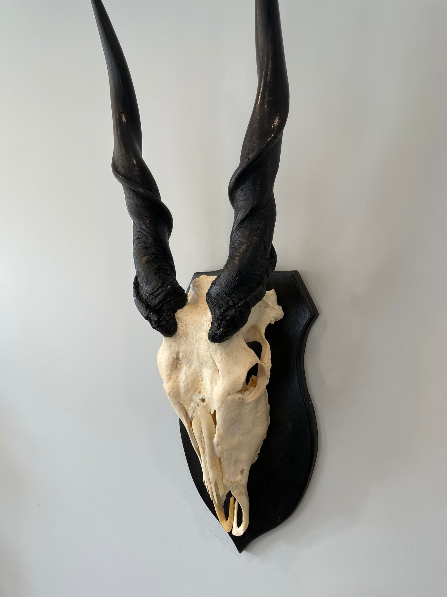 Eland Euro Mount
