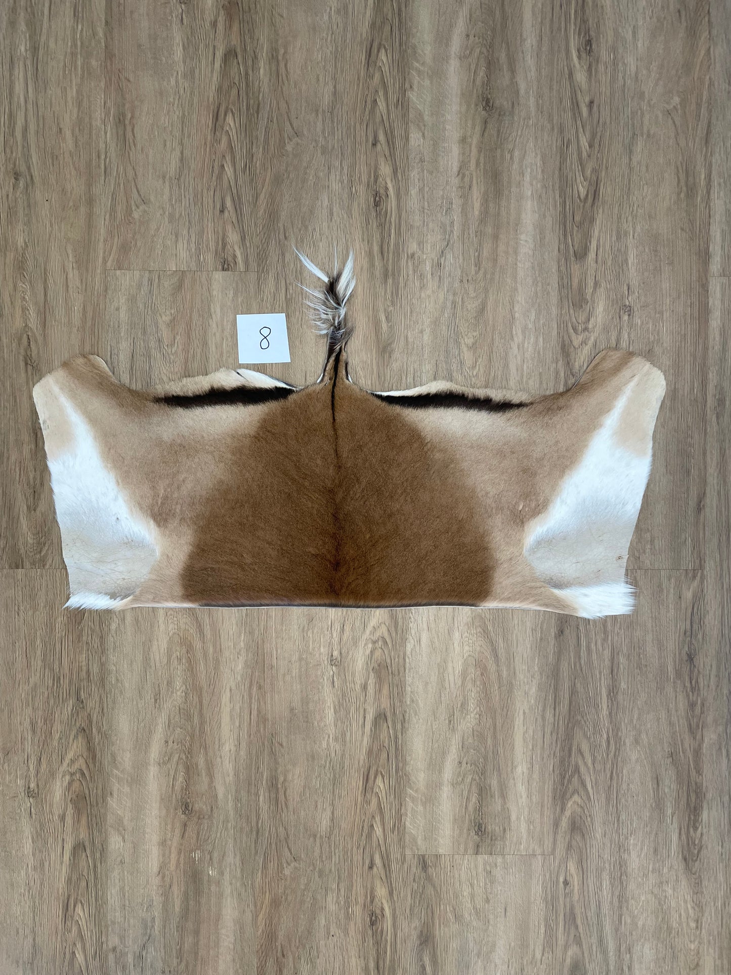 Impala Half Skin