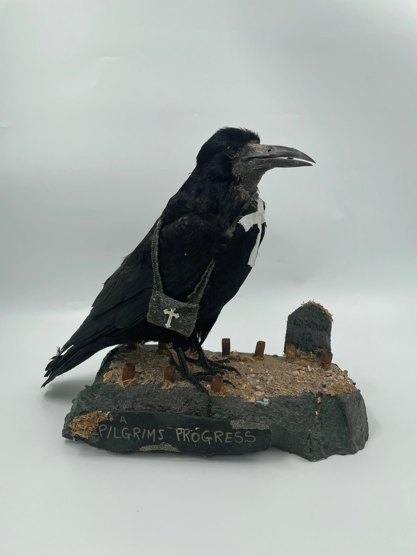 Rook