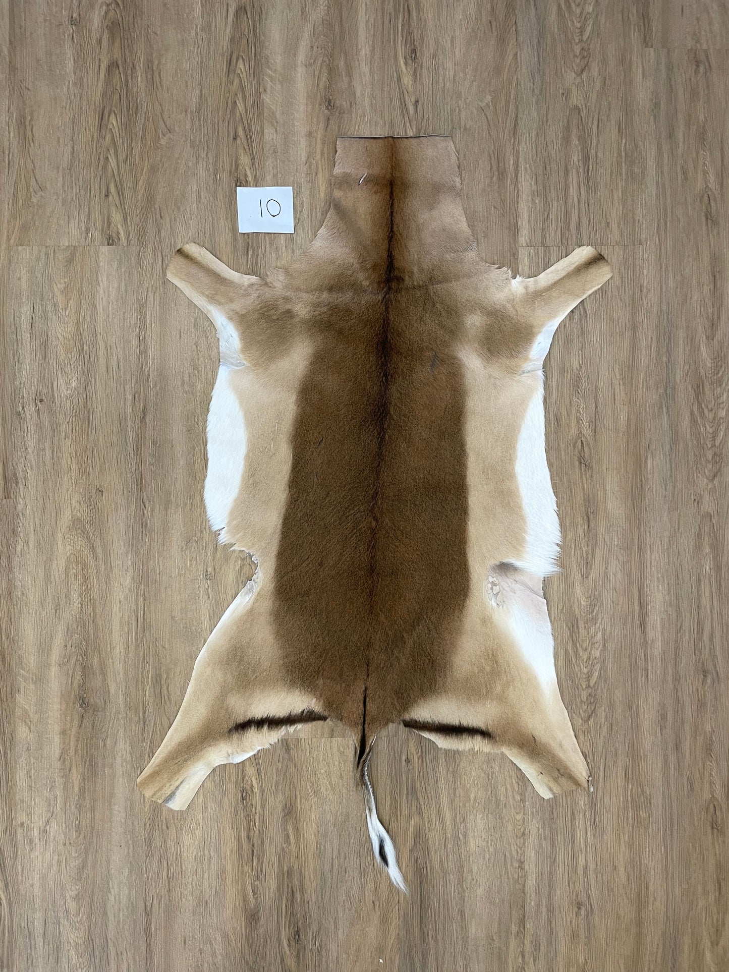 Impala Skin