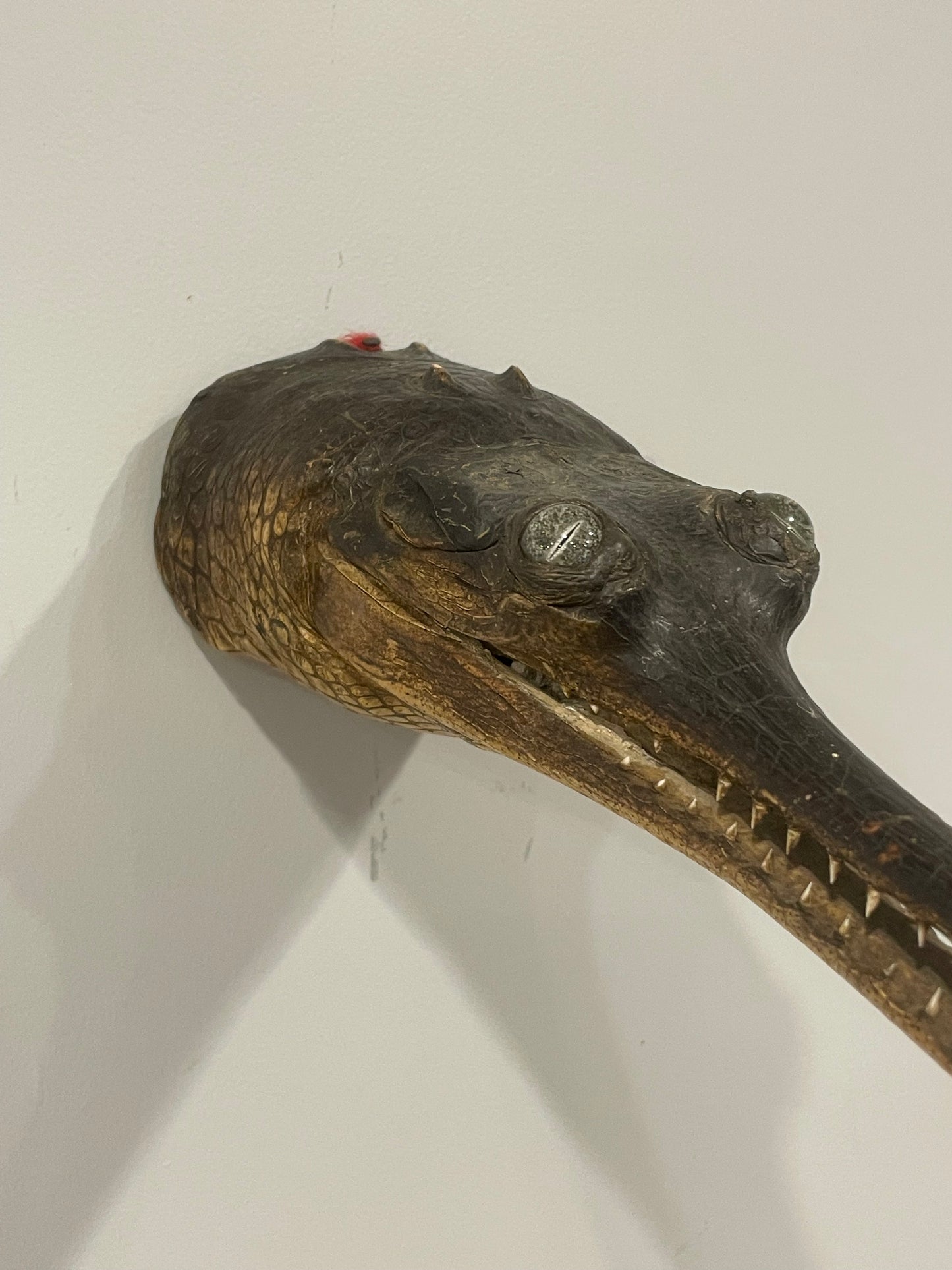 Gharial