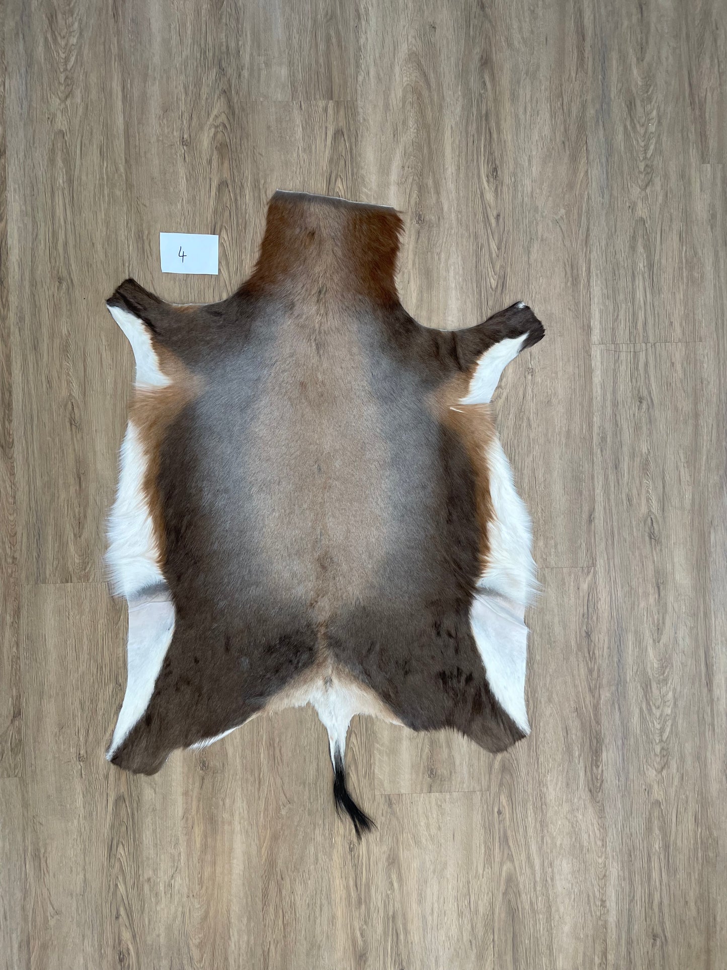 Blesbok Skin
