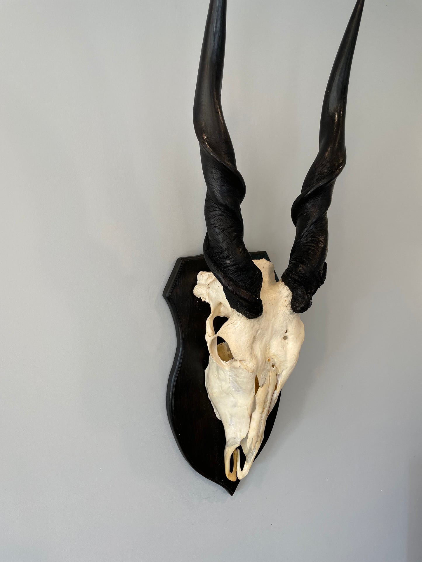 Eland Euro Mount