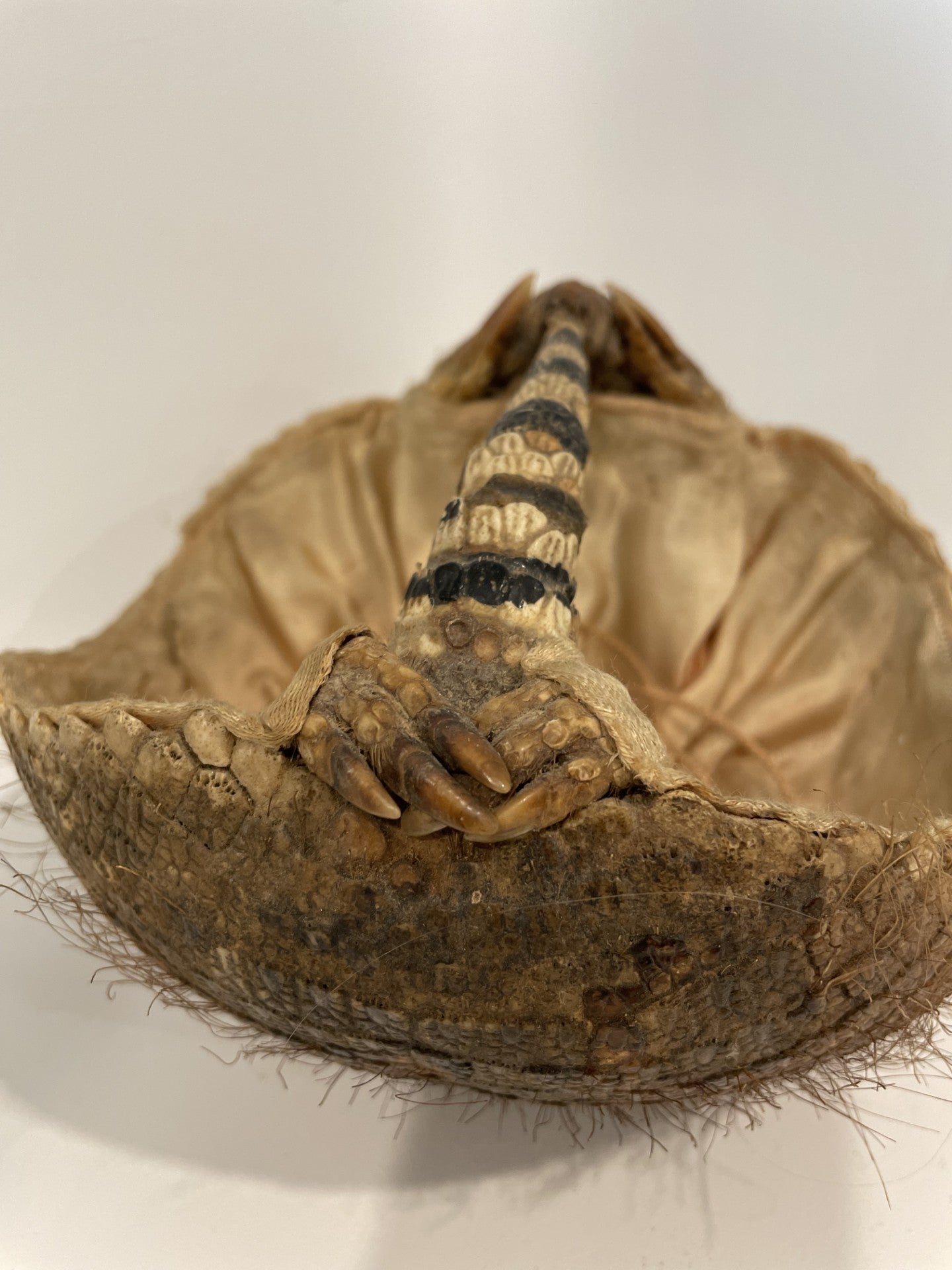 Armadillo Basket