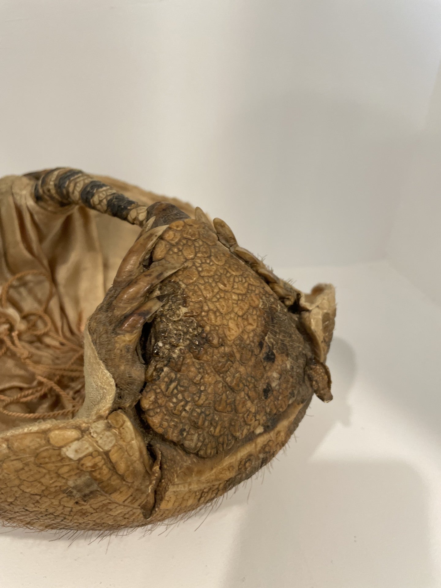 Armadillo Basket