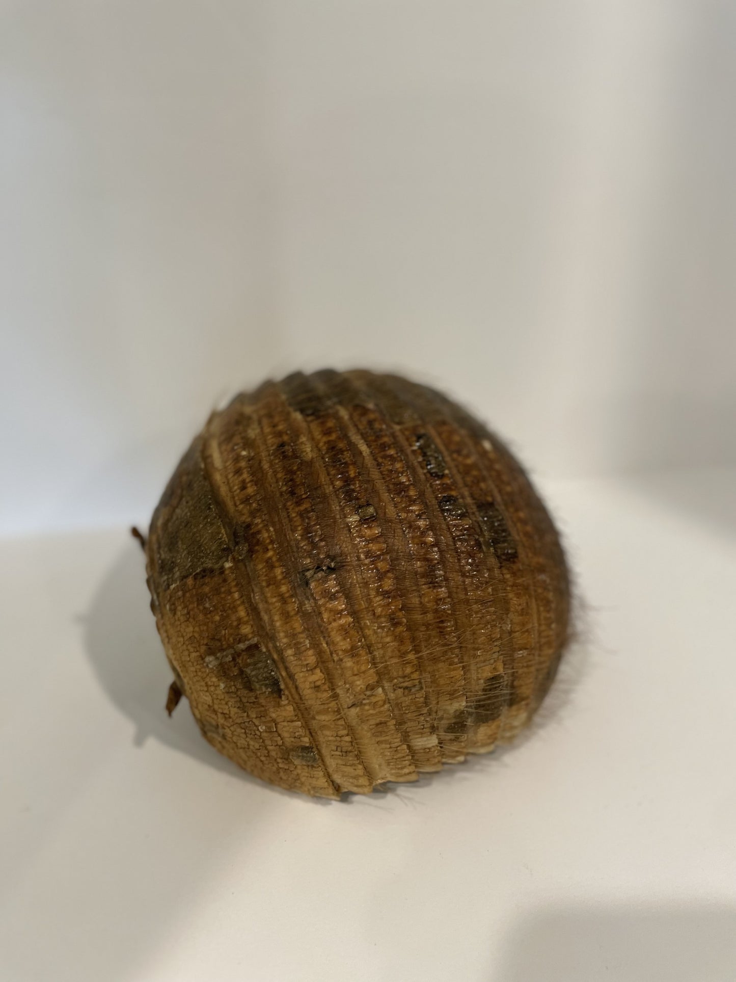 Armadillo Basket
