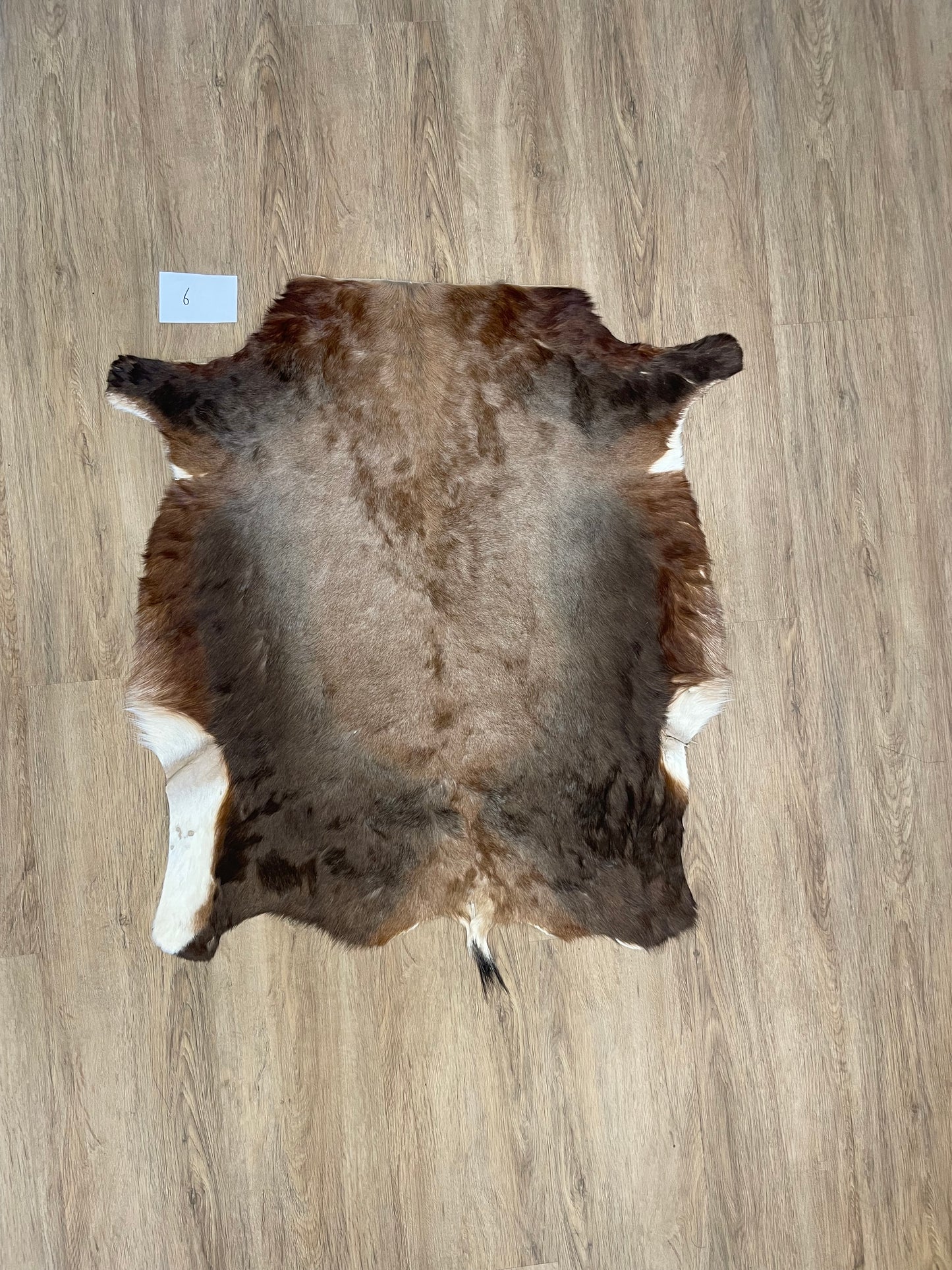 Blesbok Skin