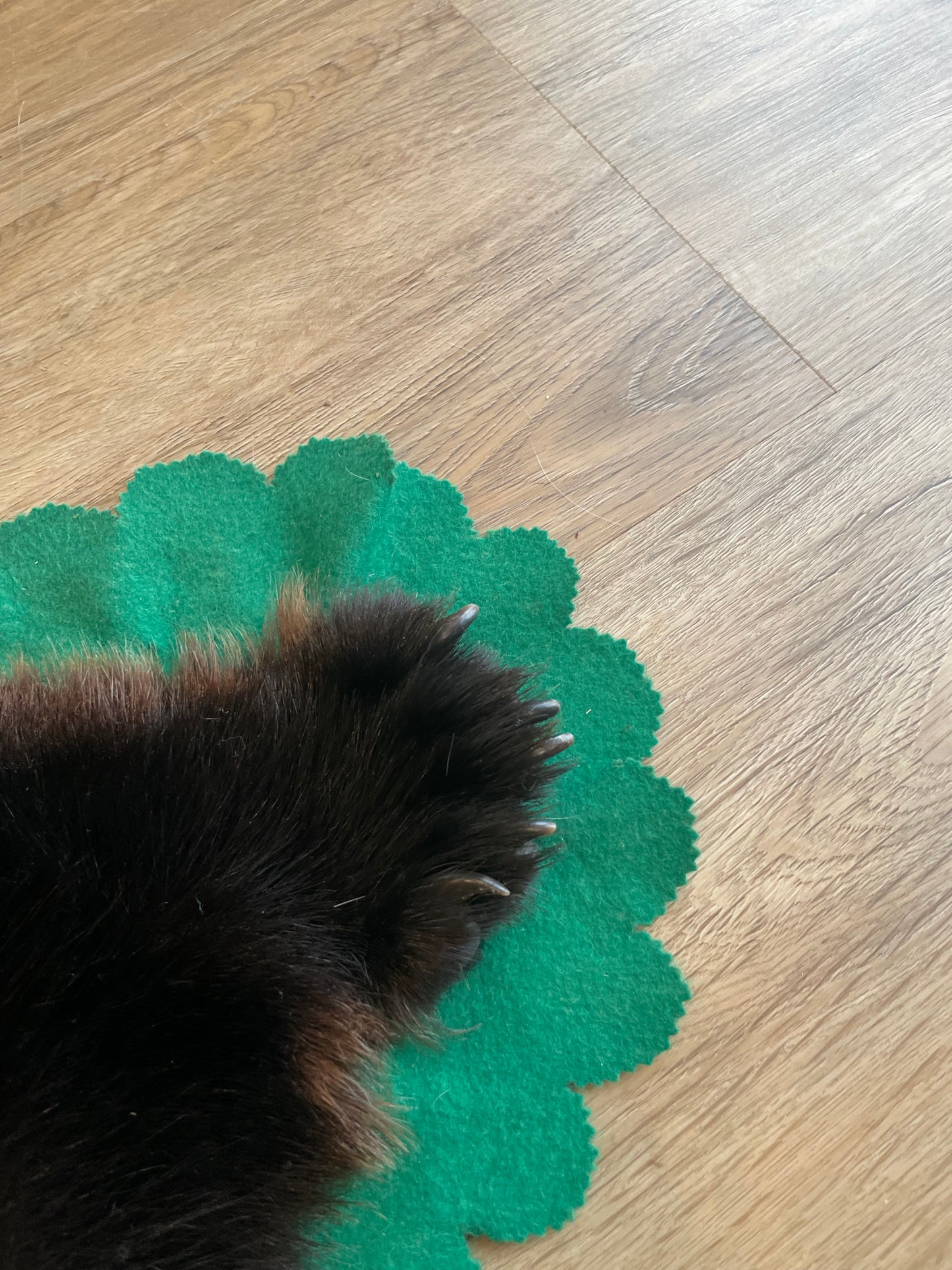 Black Bear Skin