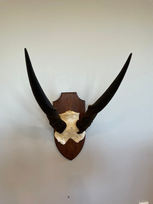 Eland Euro Mount