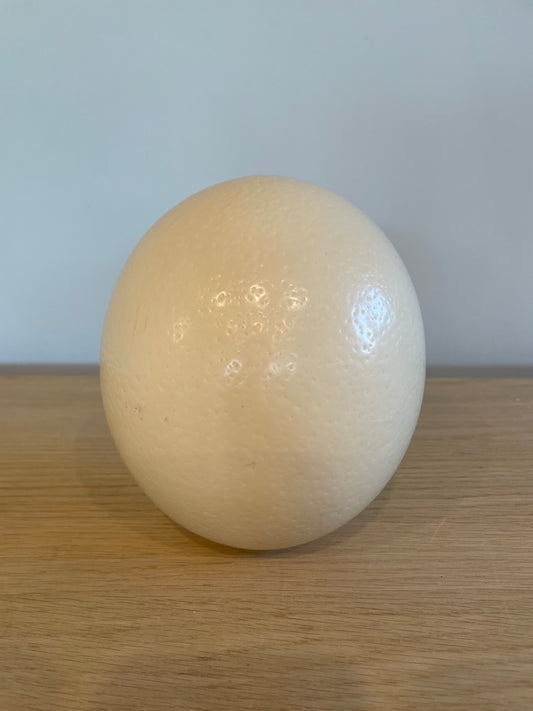 Ostrich Egg
