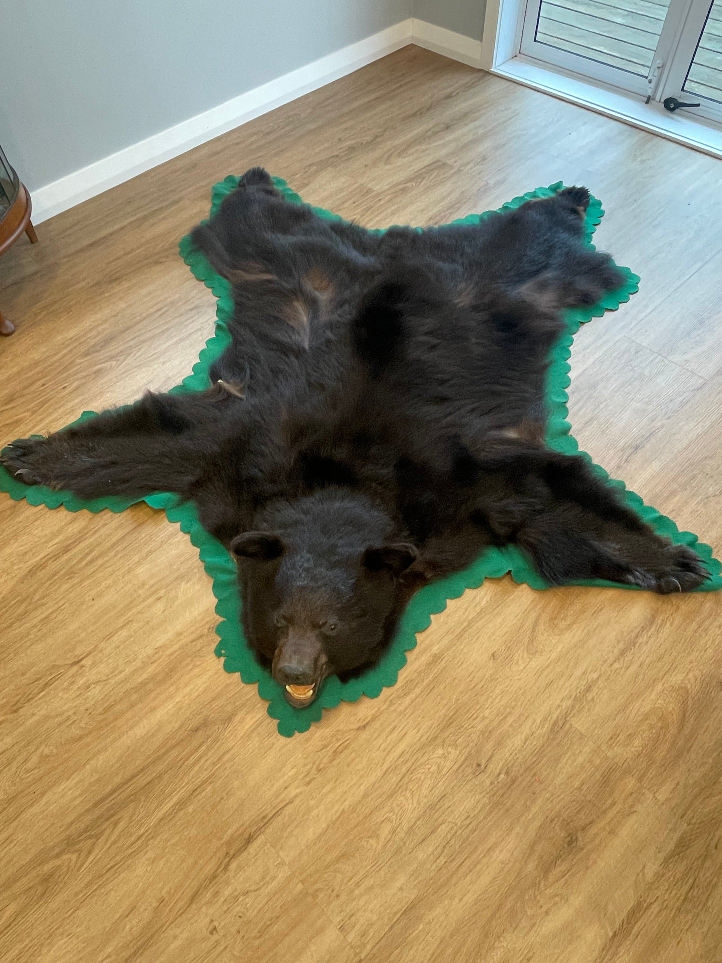 Black Bear Skin