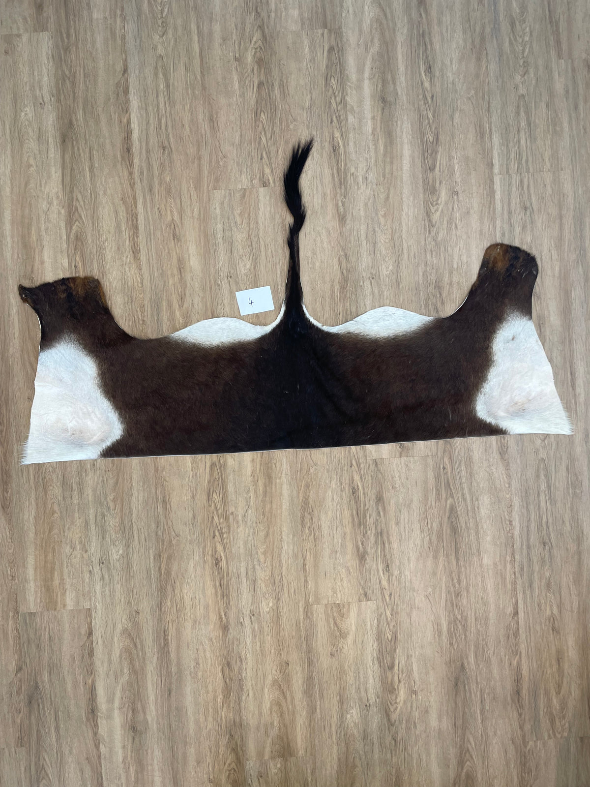Sable back Skin