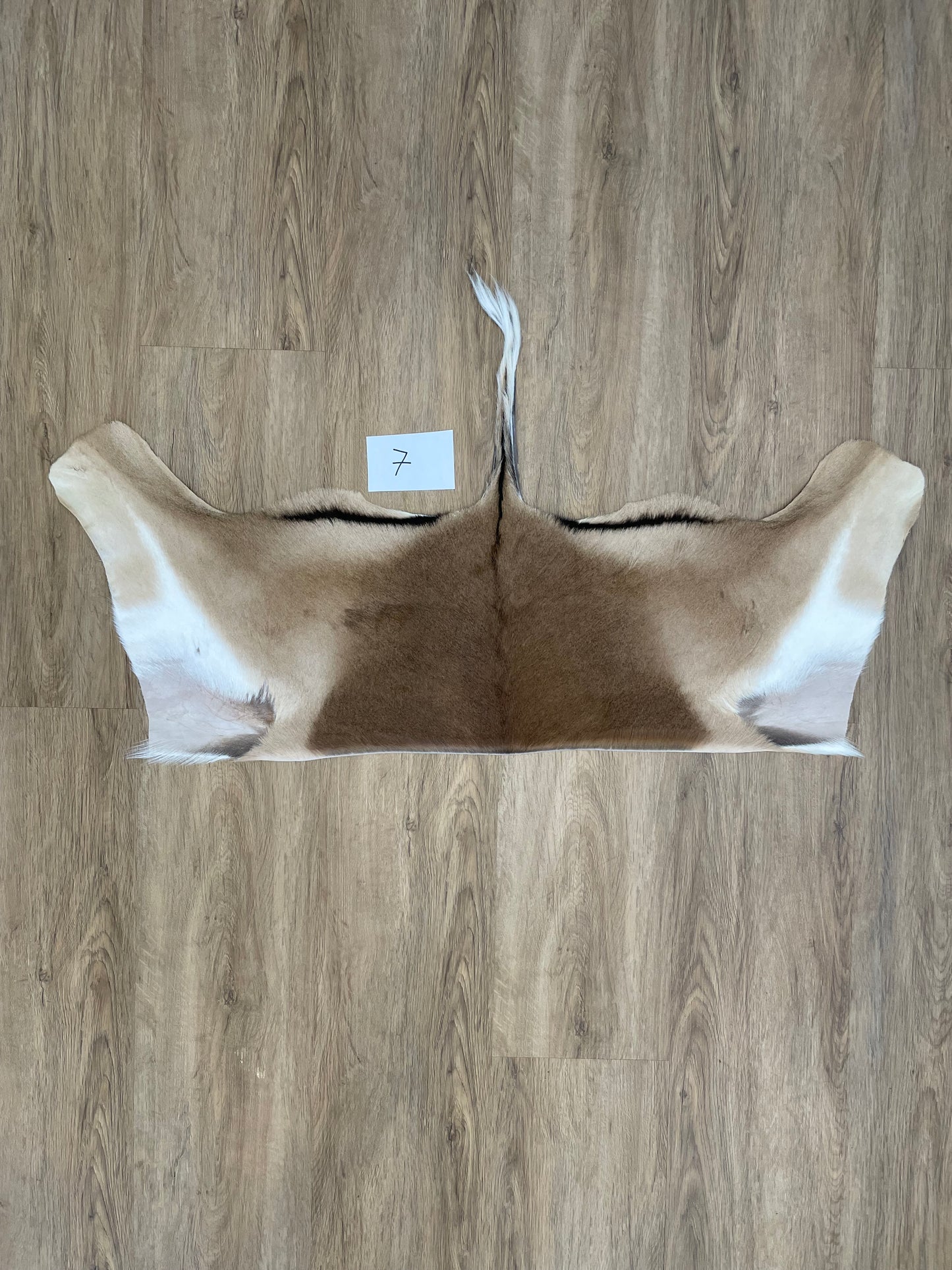 Impala Half Skin