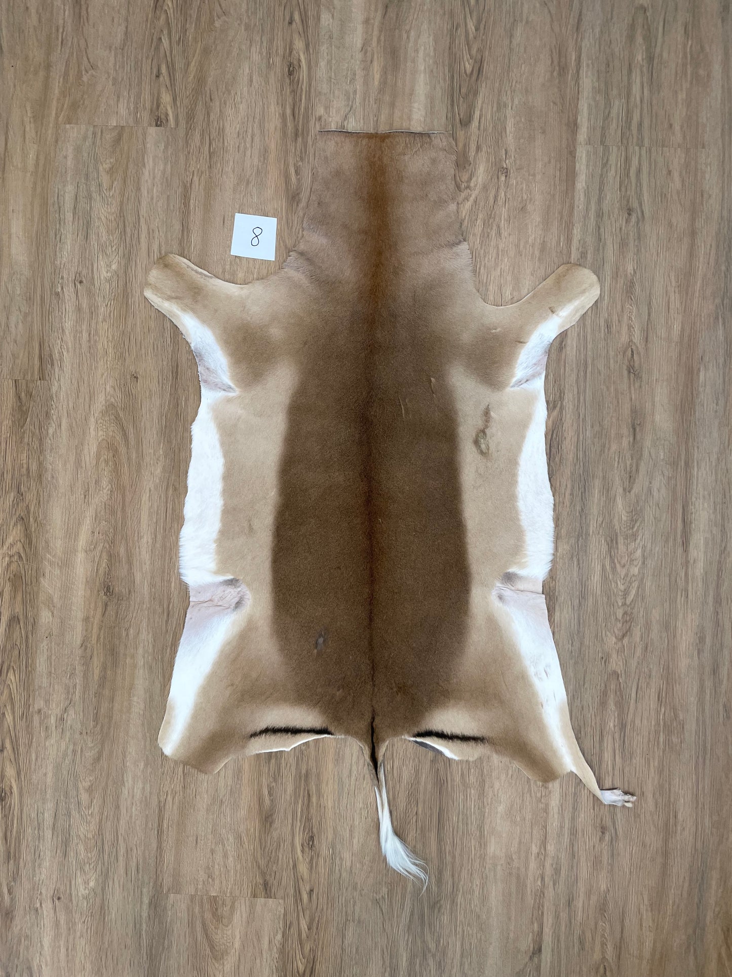 Impala Skin