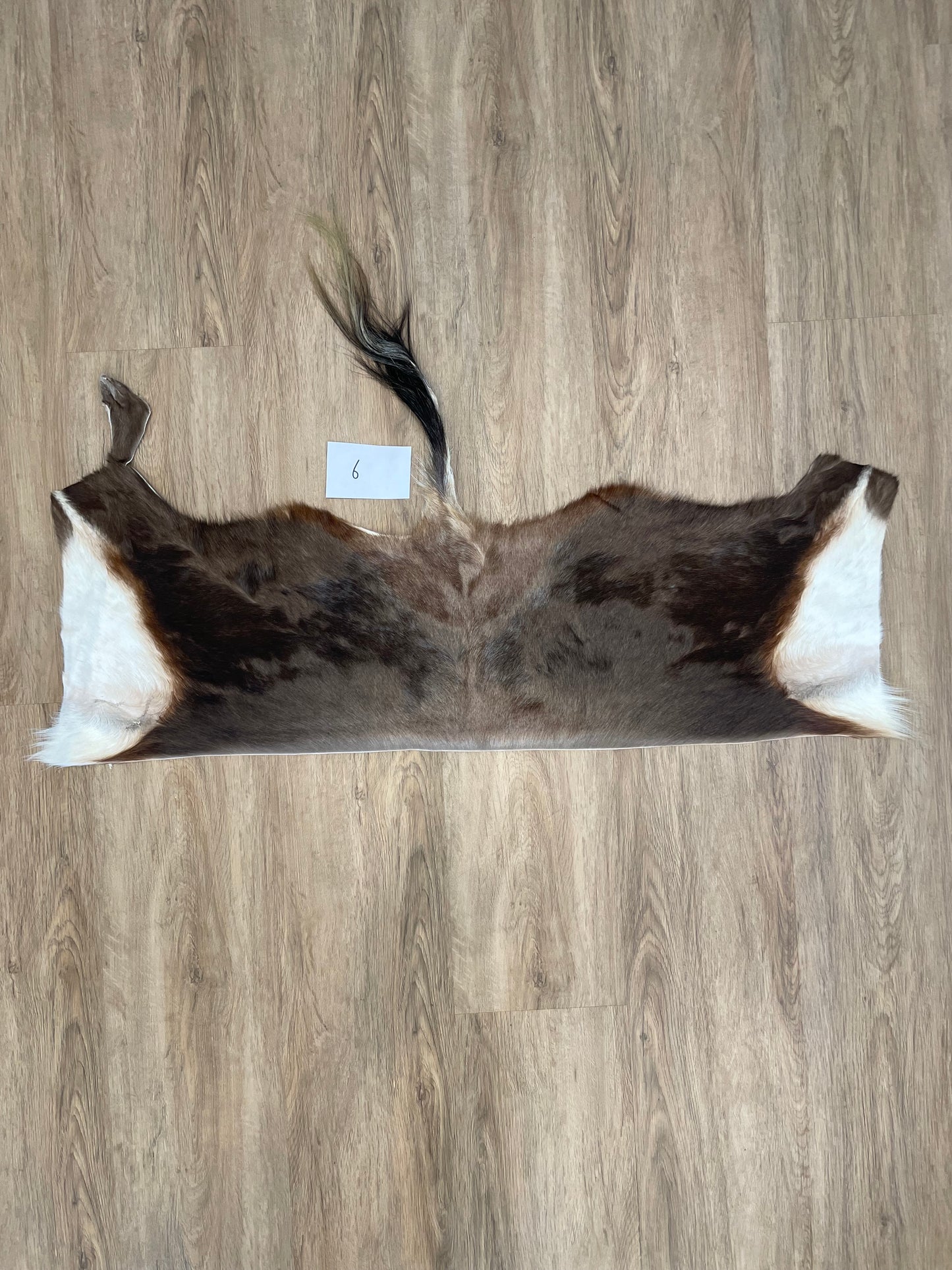 Blesbok back Skin