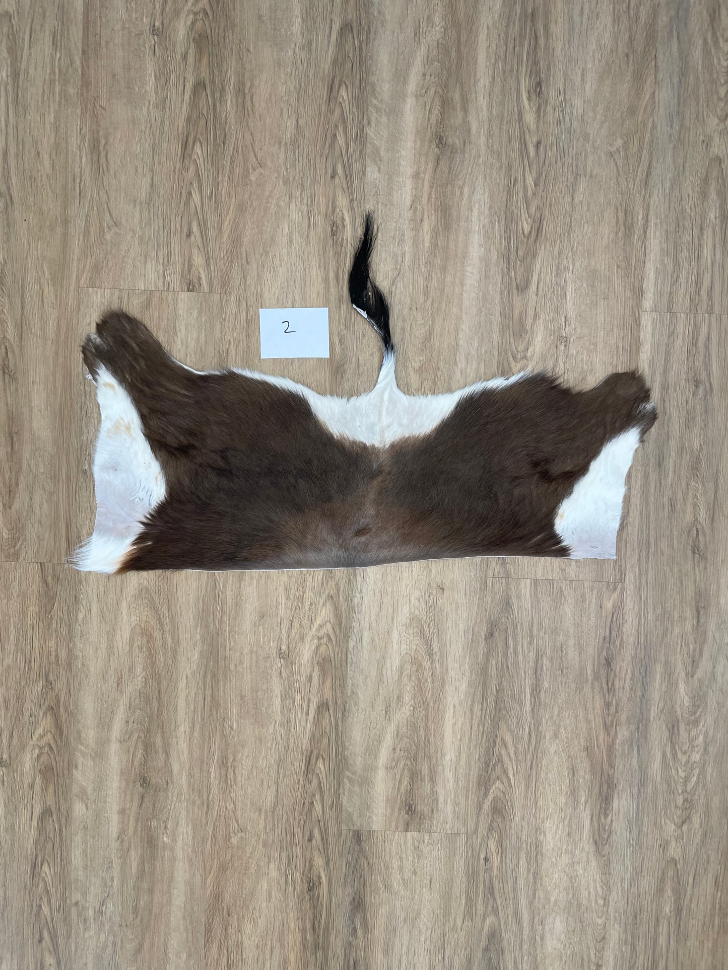 Blesbok back Skin