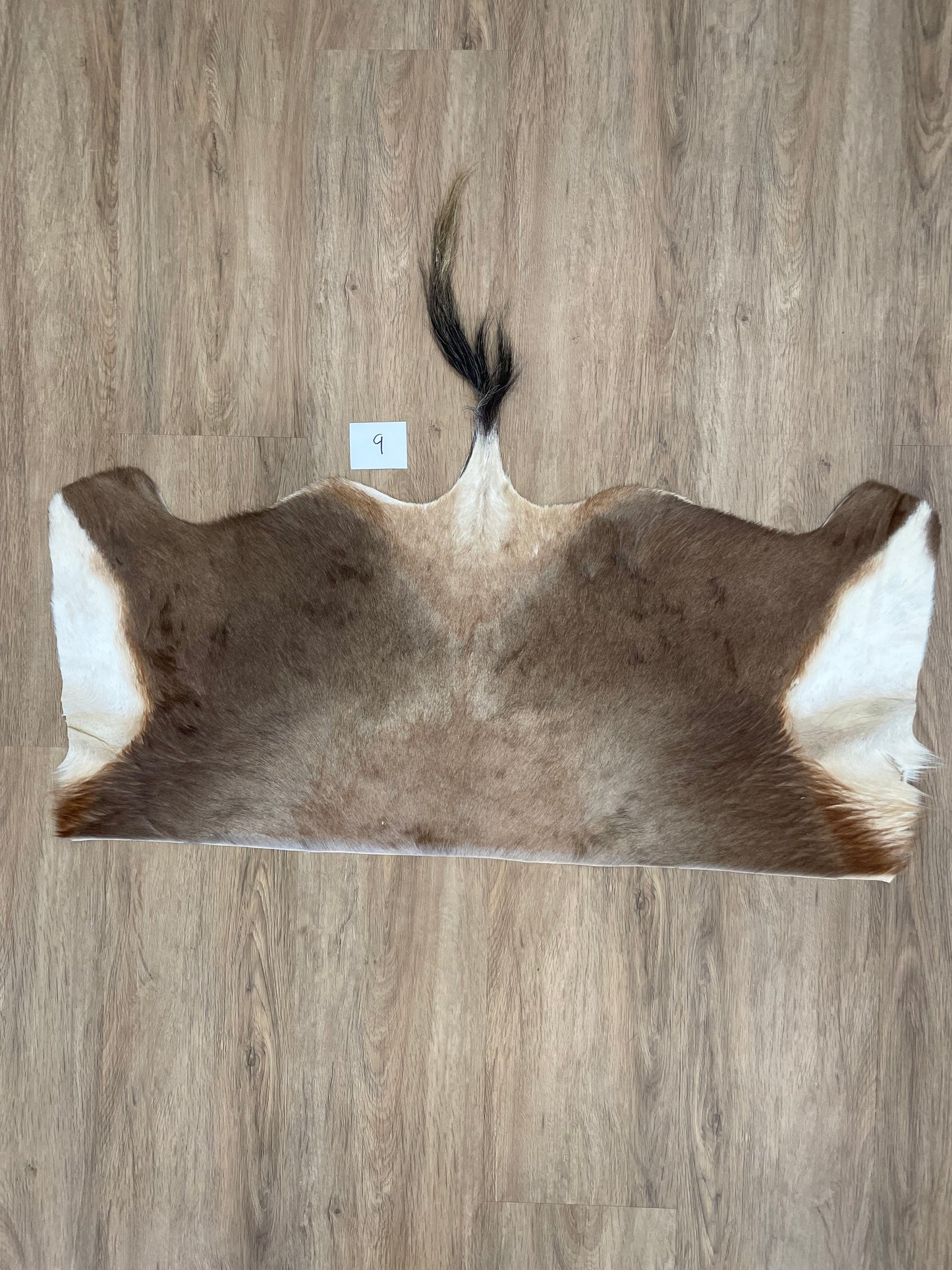 Blesbok back Skin