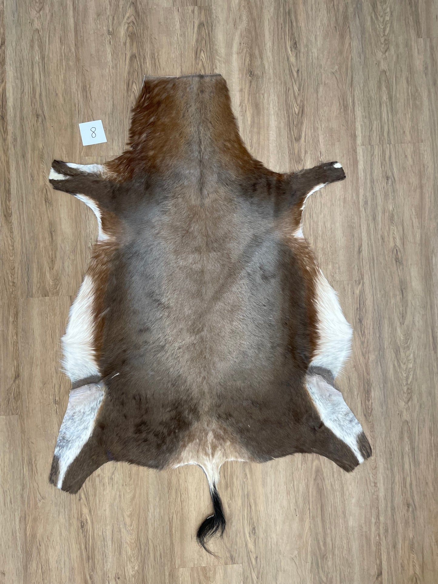 Blesbok Skin