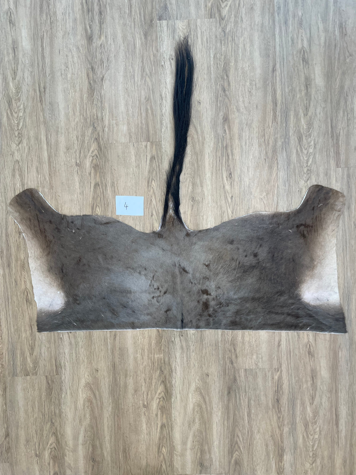 Blue Wildebeest back Skin