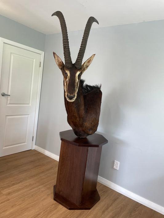 Sable Shoulder Mount