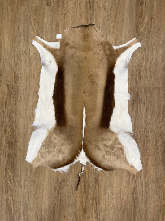 Springbok Skin