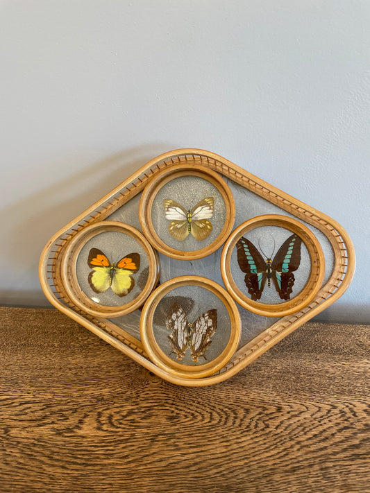 Butterfly coasters and tray