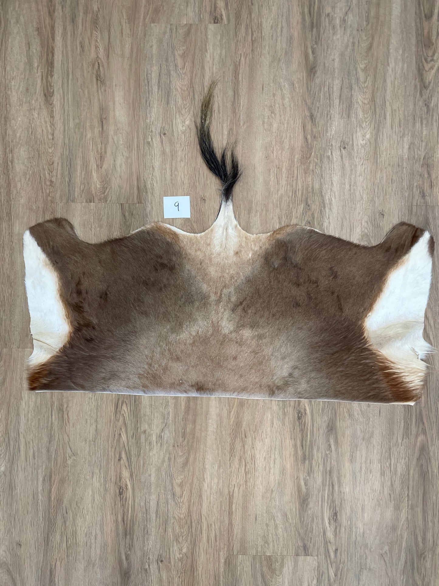Blesbok back Skin