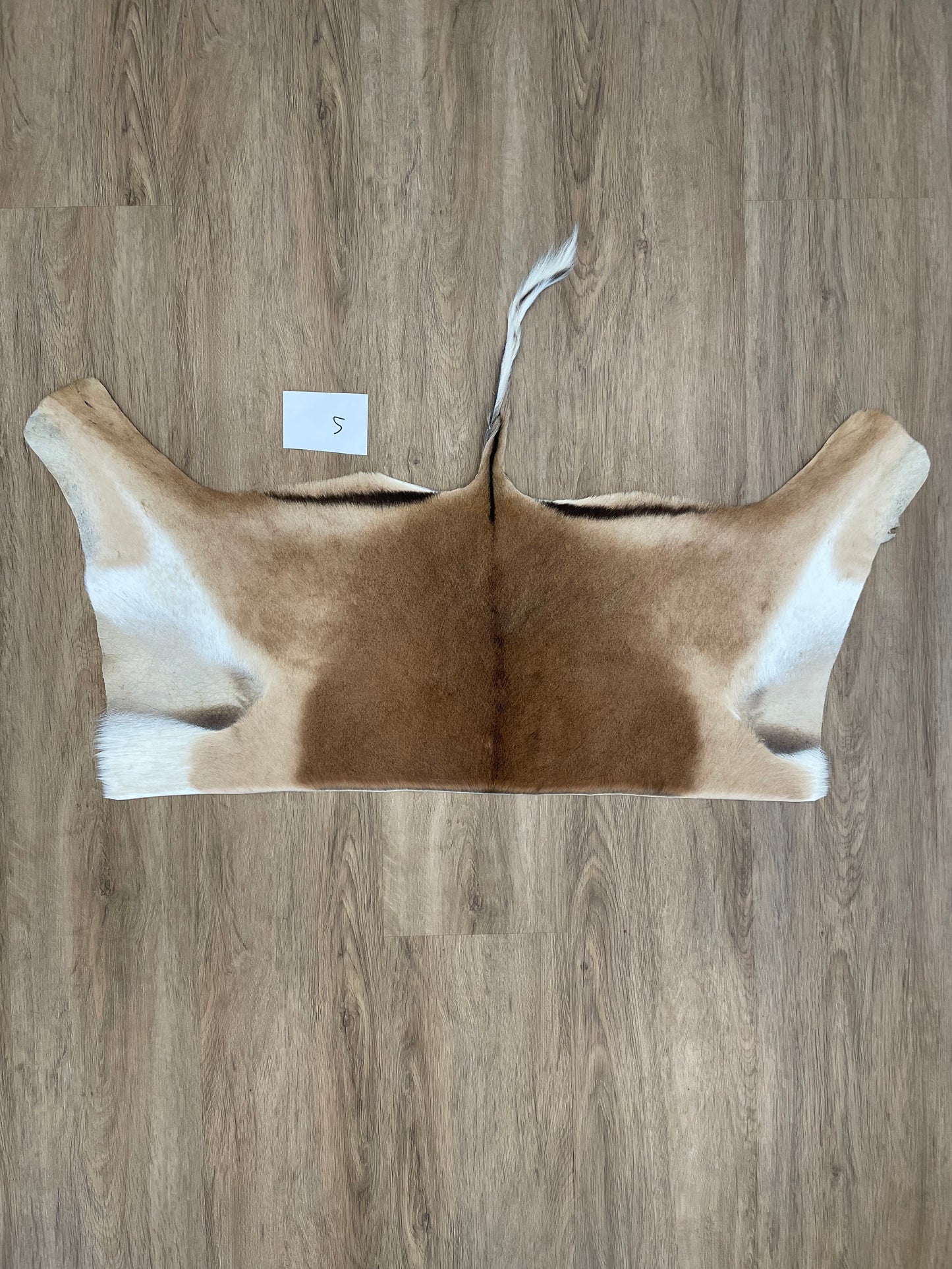 Impala Half Skin