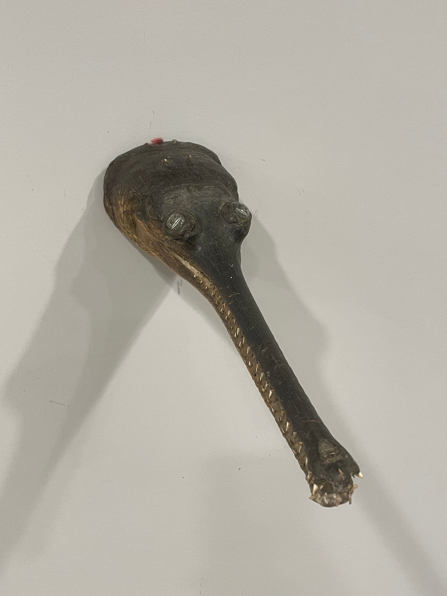 Gharial