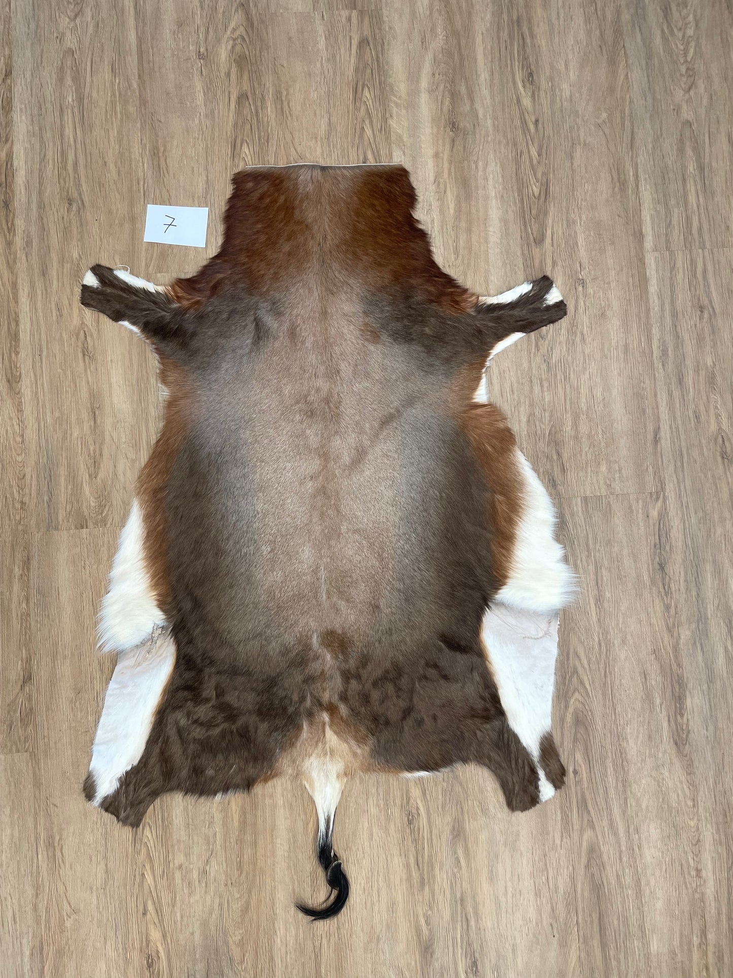 Blesbok Skin