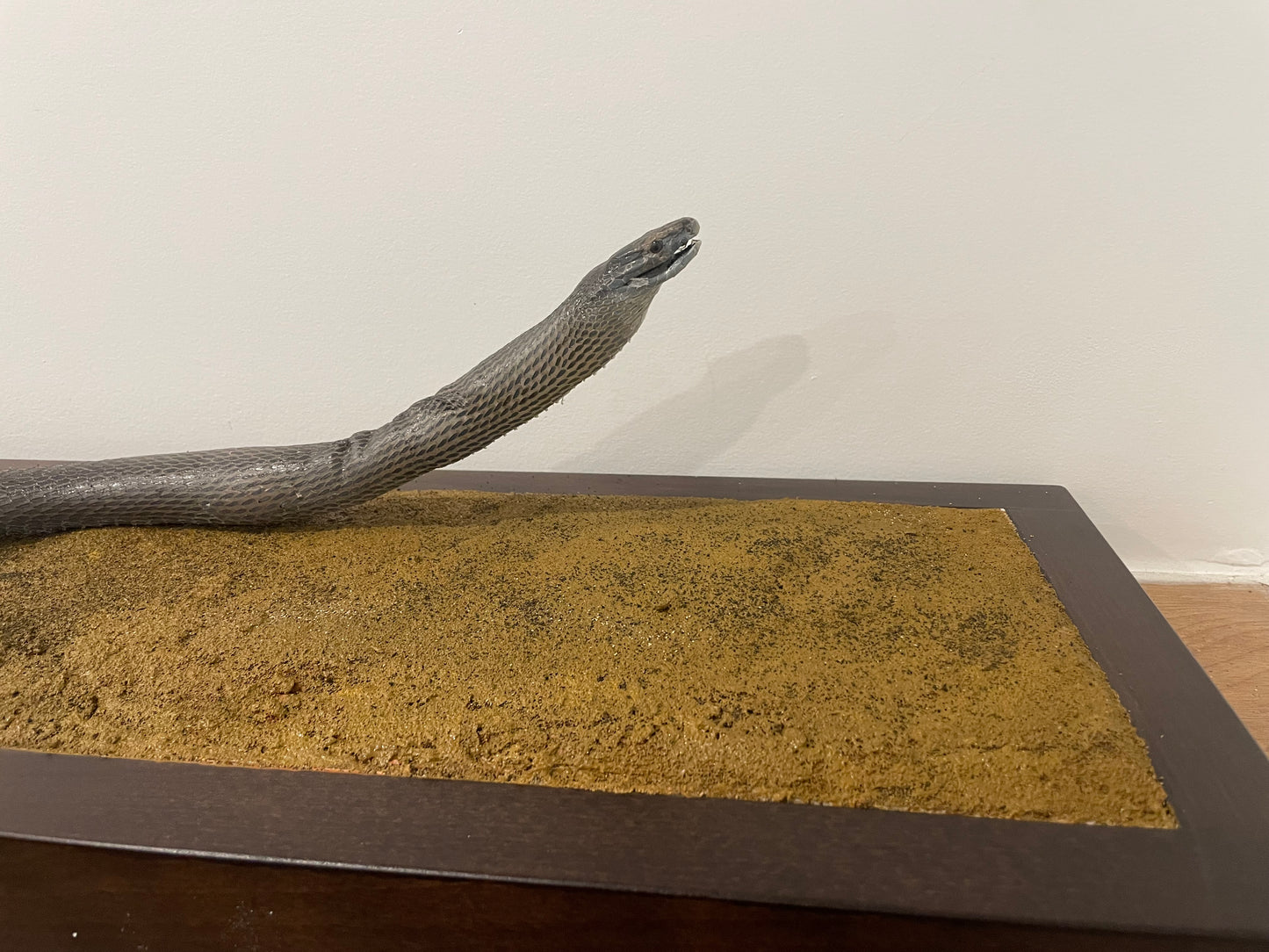 2m plus Black Mamba Snake