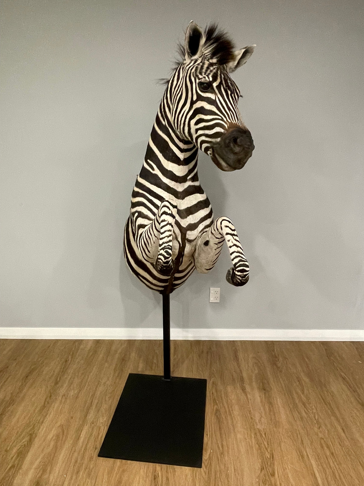 Zebra Pedestal