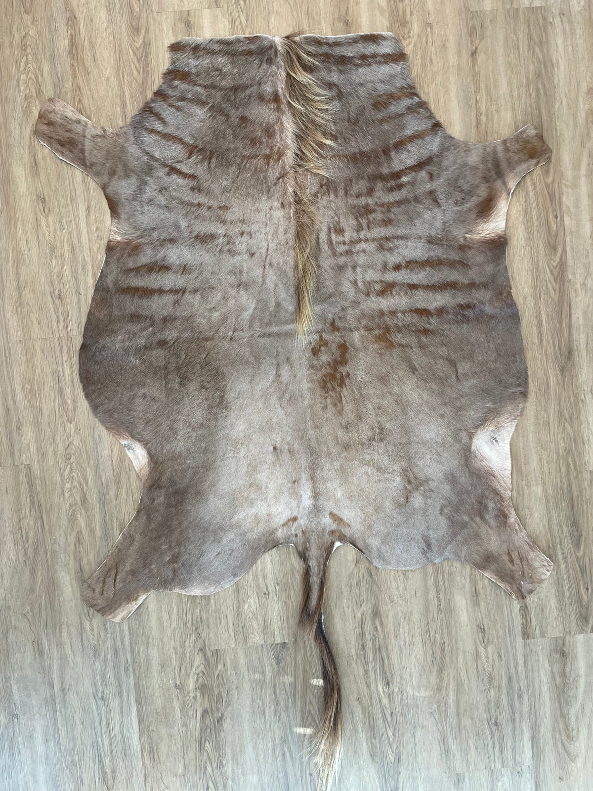 Golden Wildebeest Skin