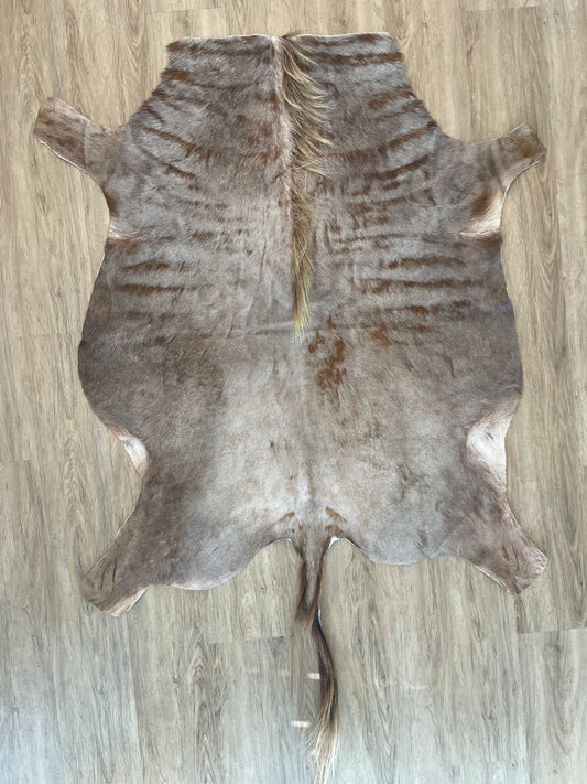 Golden Wildebeest Skin