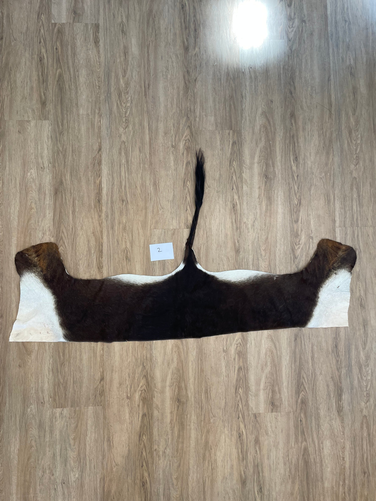 Sable back Skin