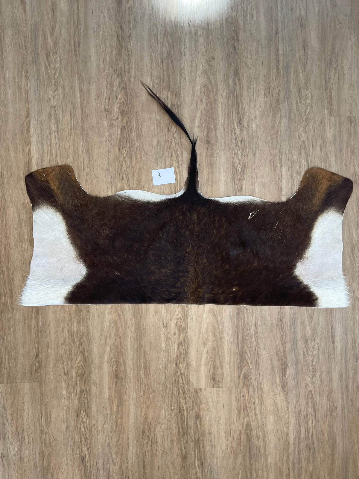 Sable back Skin