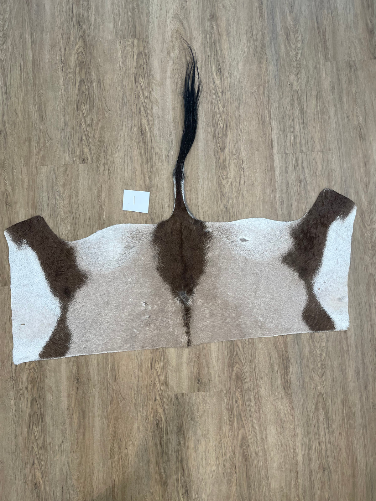 Gemsbok back Skin