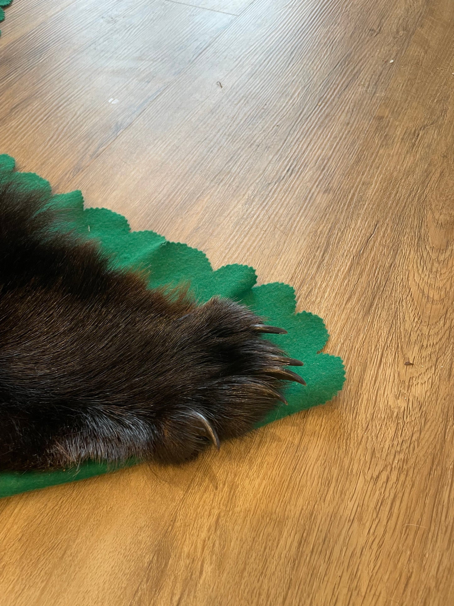 Black Bear Skin