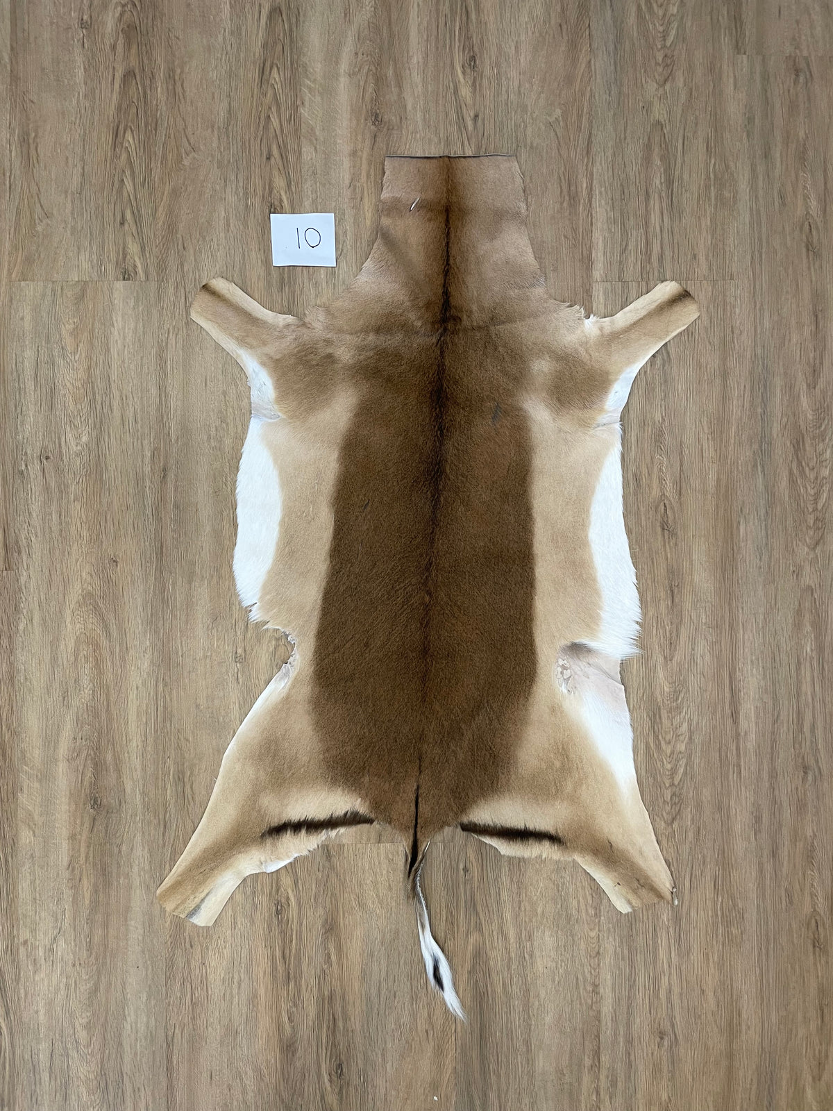 Impala Skin