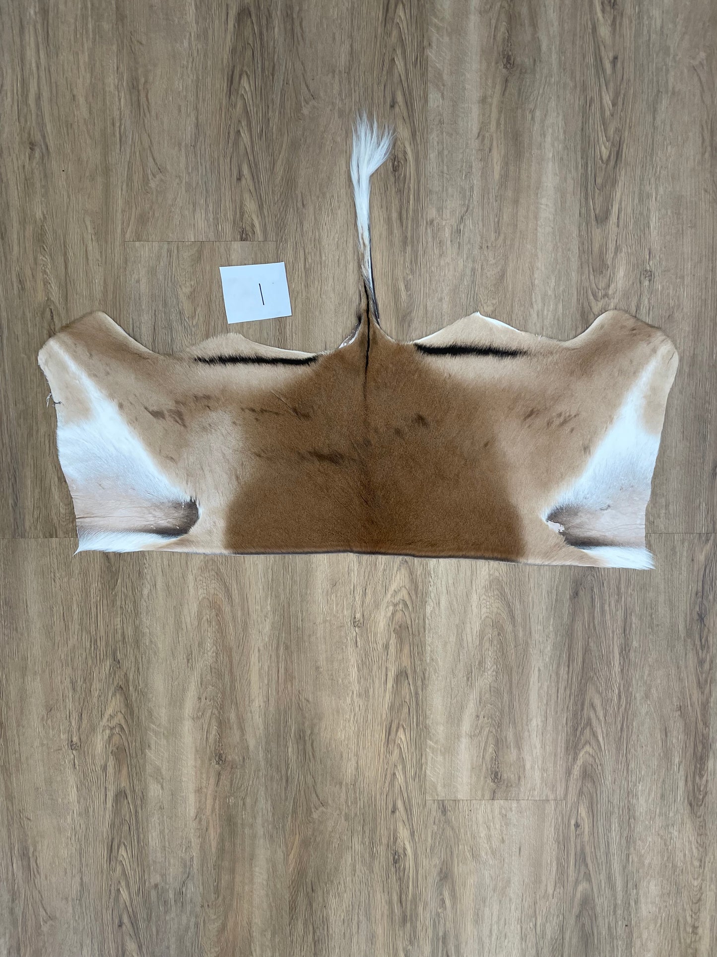 Impala Half Skin