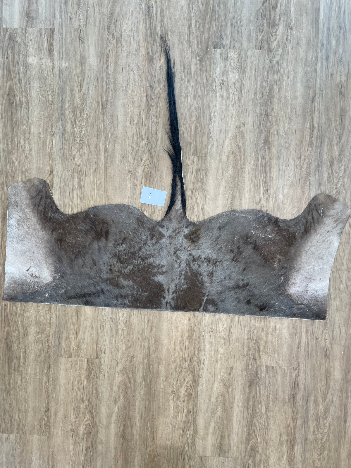 Blue Wildebeest back Skin