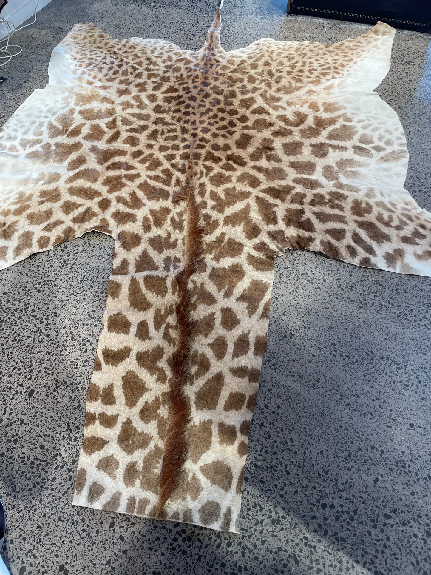 Giraffe Skin