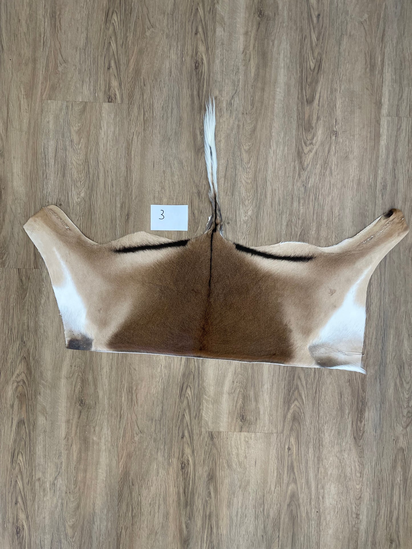 Impala Half Skin