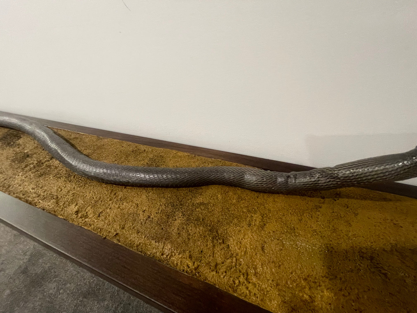 2m plus Black Mamba Snake