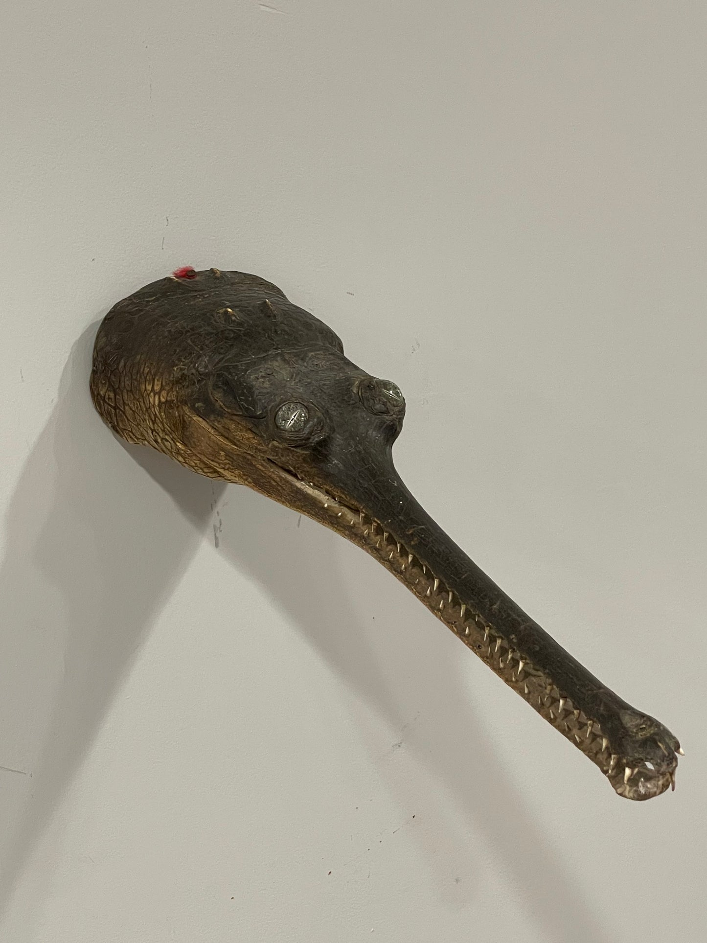 Gharial