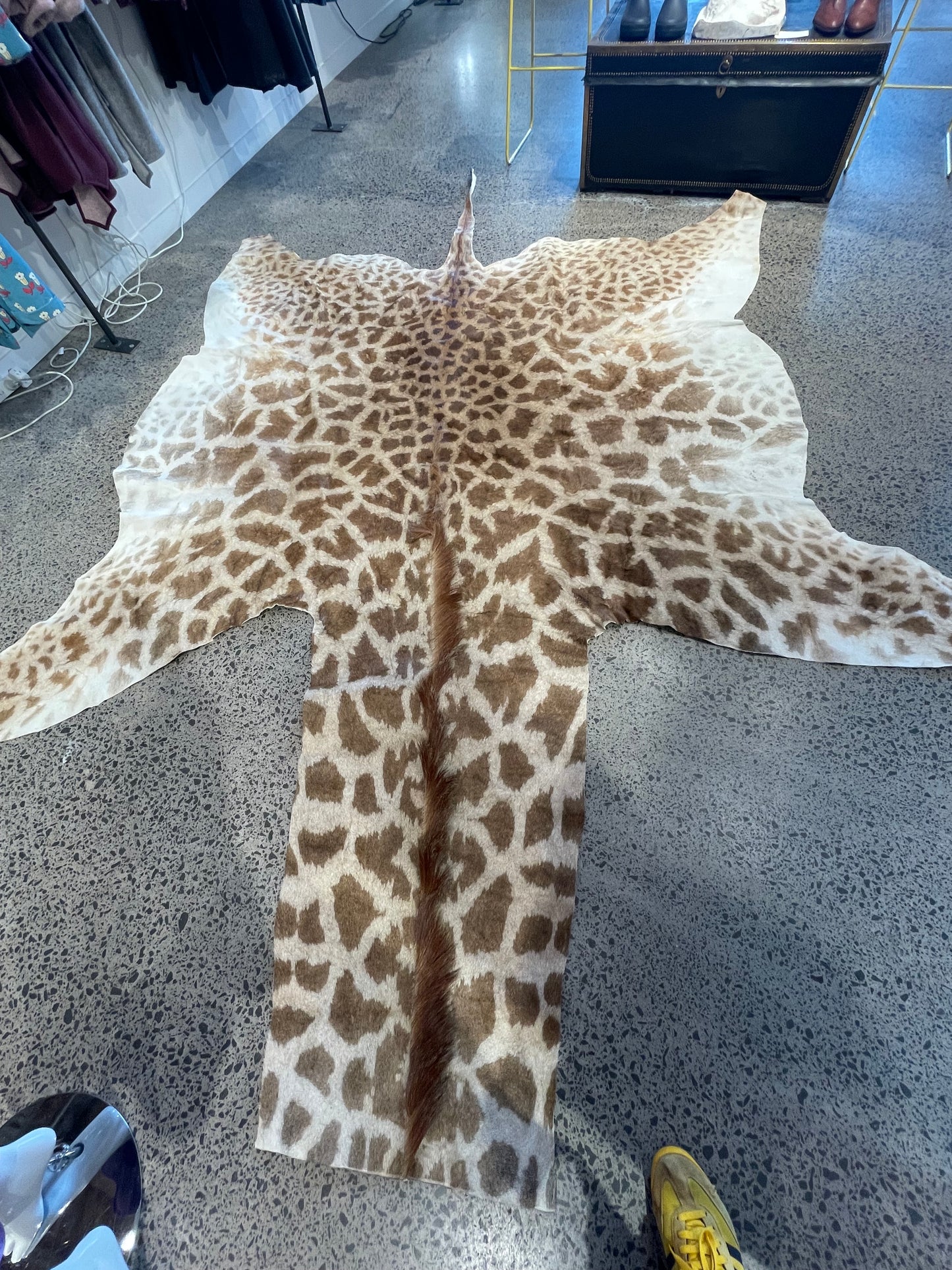 Giraffe Skin