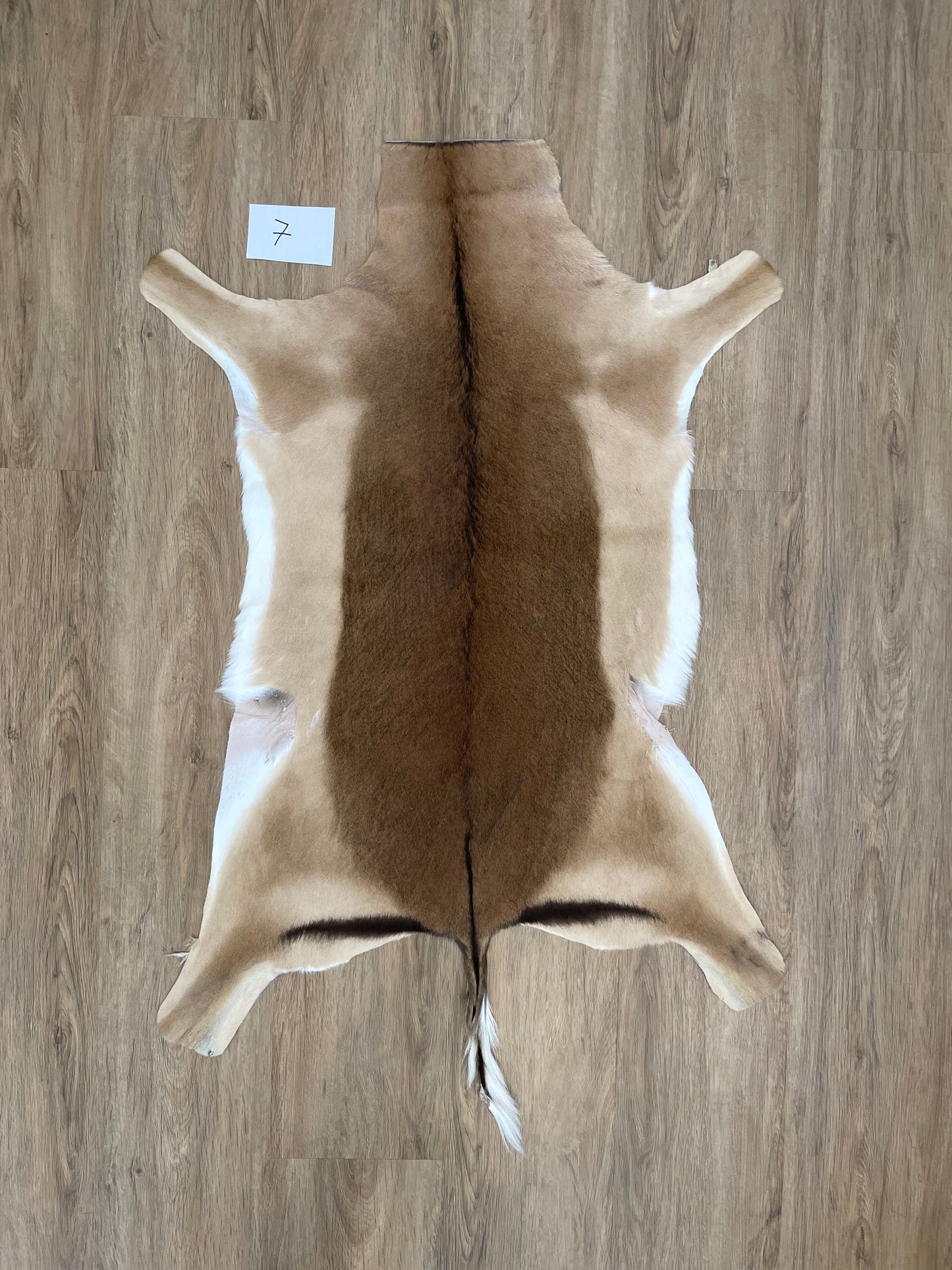 Impala Skin