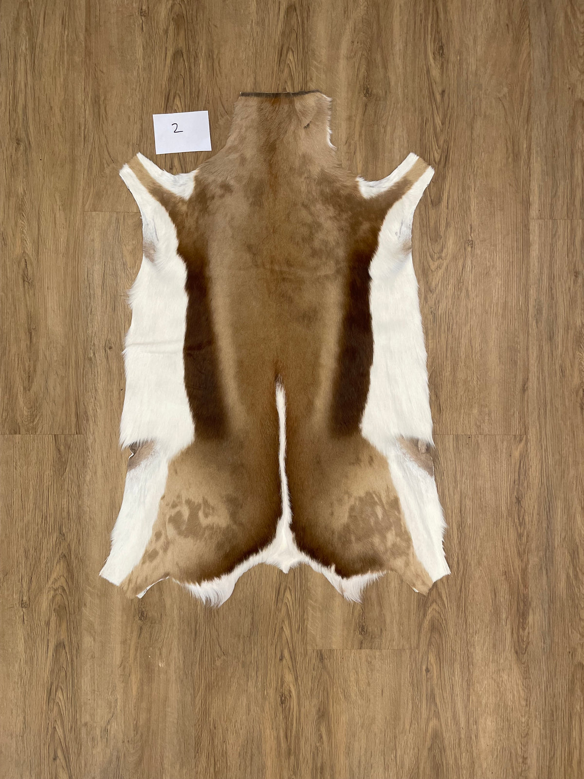 Springbok Skin